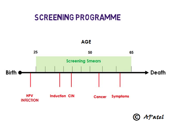 Cervical cancer screening age